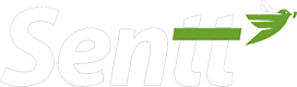 footer-logo