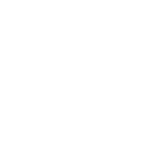 bird-3